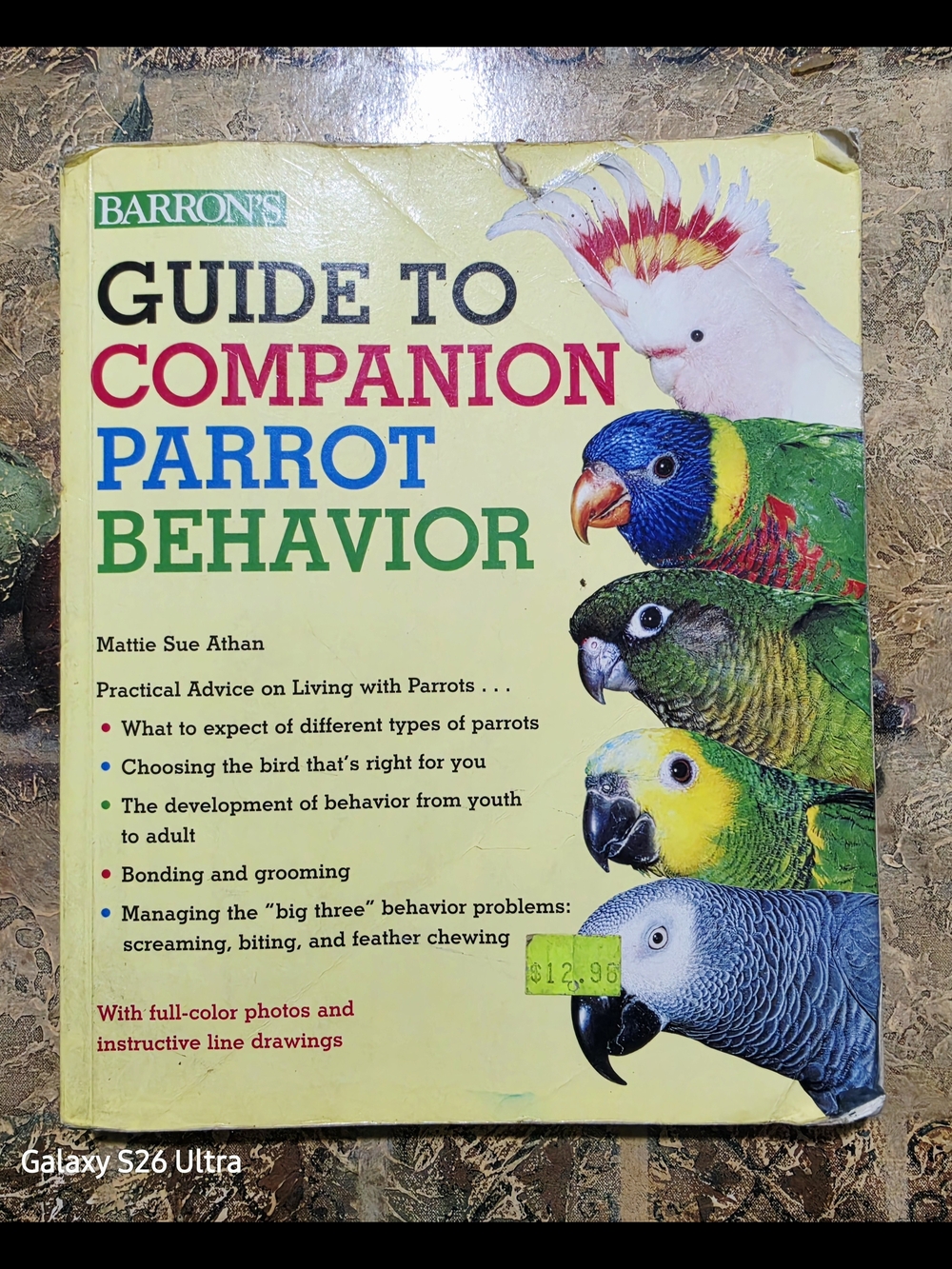Barron's Guide to Companion Parrot Behavior